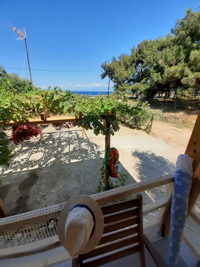 Το Σπίτι Με Το Πηγάδι - Wellcottage Thassos Skála Kallirákhis Exterior foto